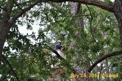 Entergy 116